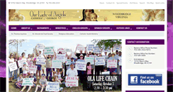 Desktop Screenshot of olacc.org